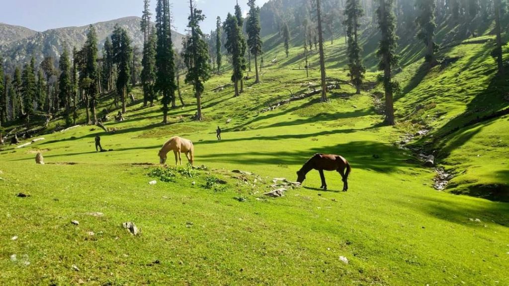 Panjal Mastan National Park, Ganga Choti Bagh, Azad Kashmir