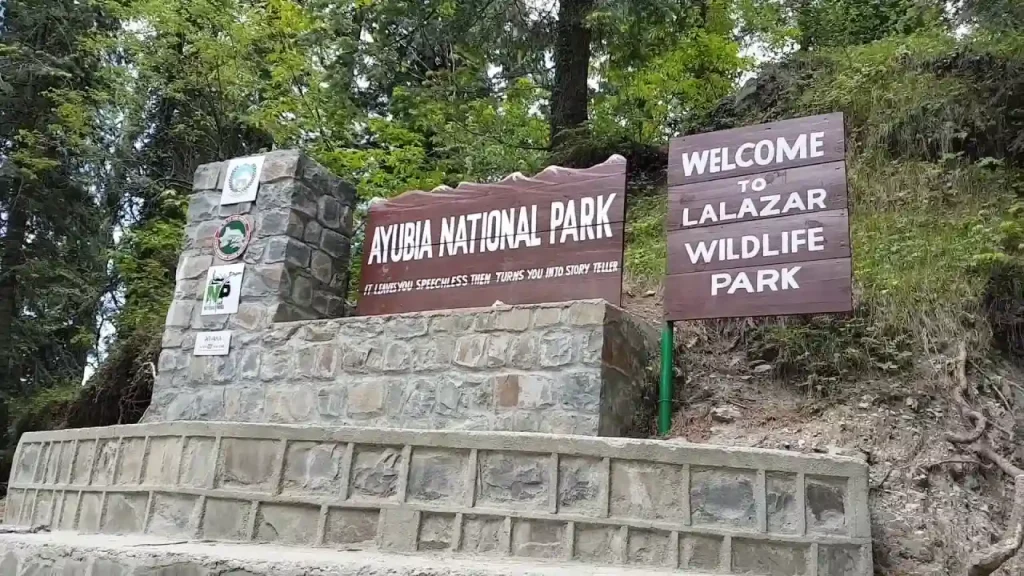 Lalazar Park Nathia Gali near Mushkpuri track is home to rare wildlife