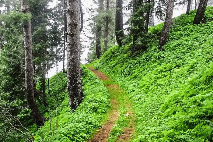 Miranjani track is the highest mountain in the Gilyat region, witha 4.69 KM long track