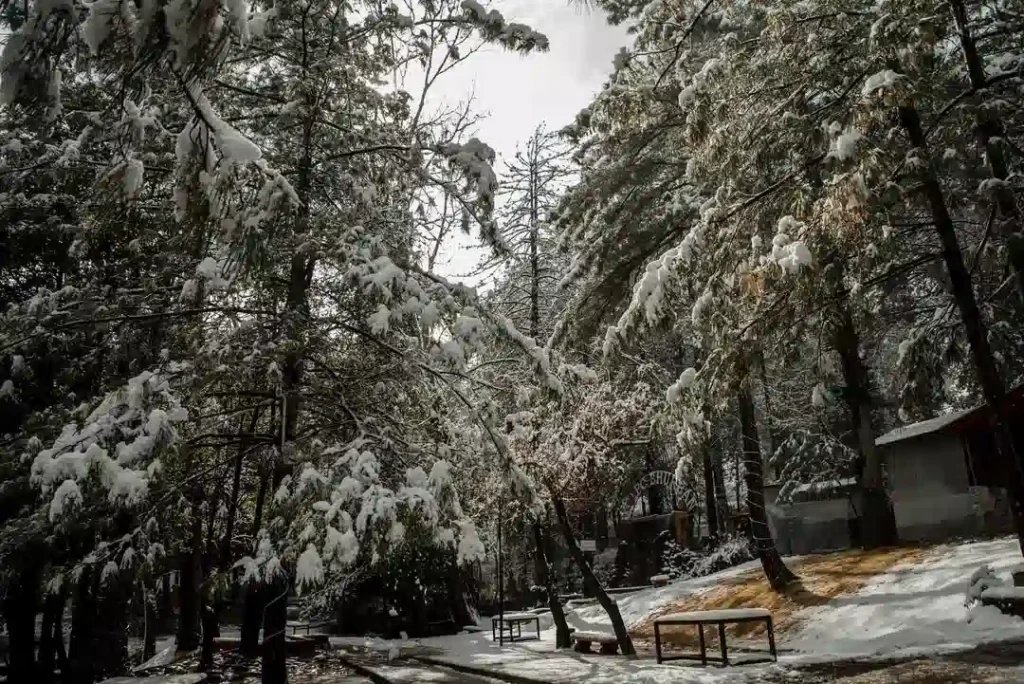 snow capped bhurban in winter season