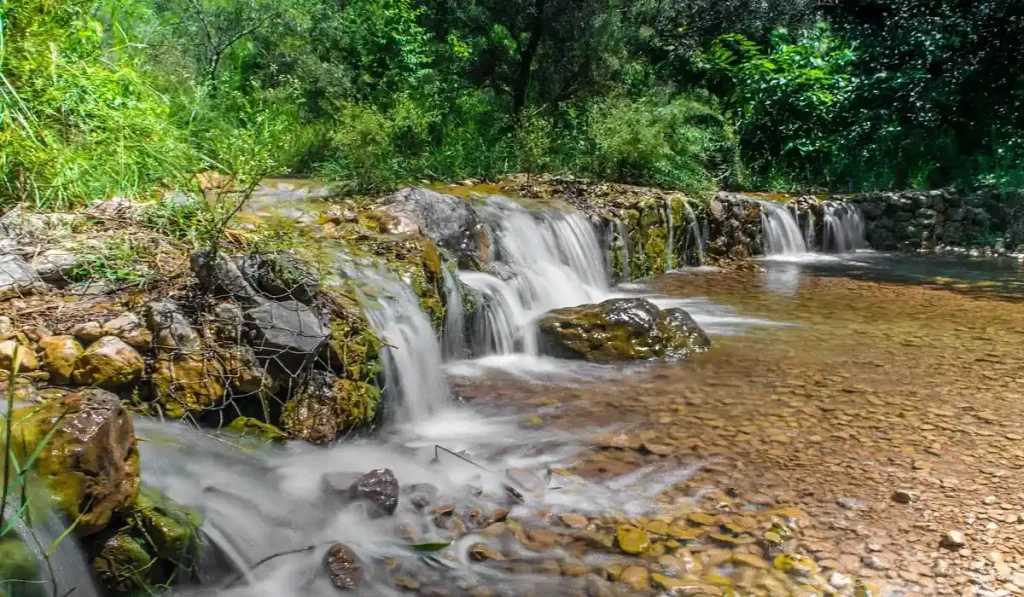 Trail 5 in Margalla Hills is the perfect outdoor activity in Islamabad