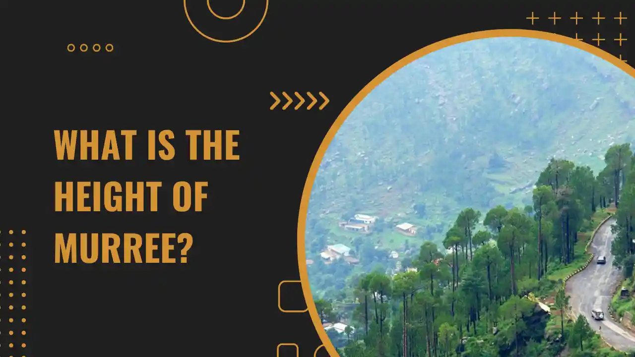 What is the Height of Murree? What Are Your Chances of Surviving a Fall?
